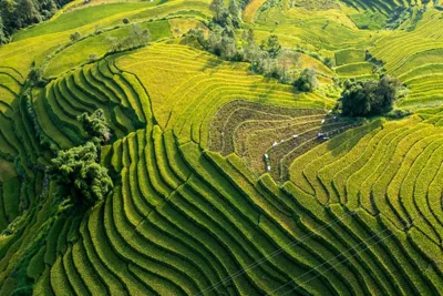 Belle Maison Sapa Resort & Spa - Formerly Sapa Eco Villas & Spa – Photos 16